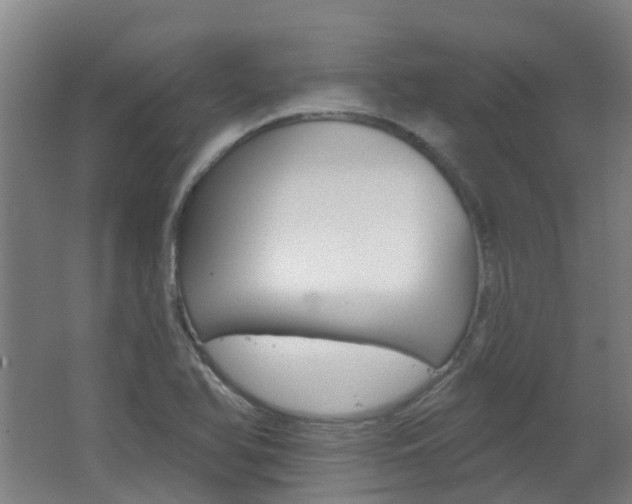 X0000062641366200512211153