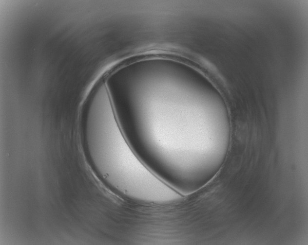 X0000062641368200512211153
