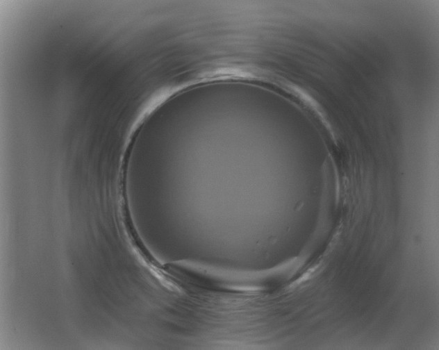 X0000062641373200512211152