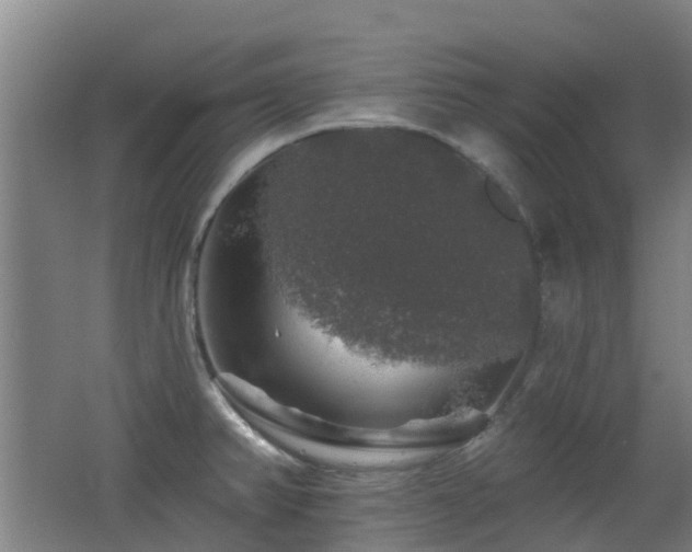 X0000062641382200512211152