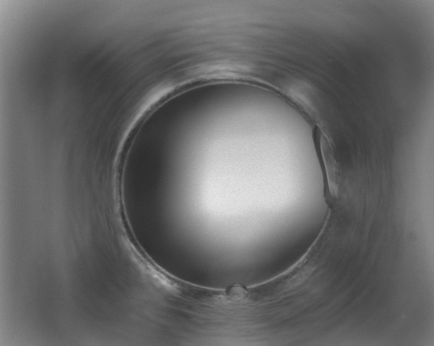 X0000062641384200512211152