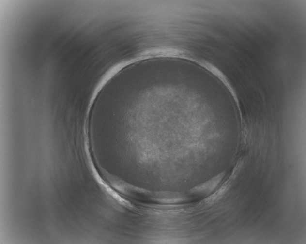 X0000062641389200512211152