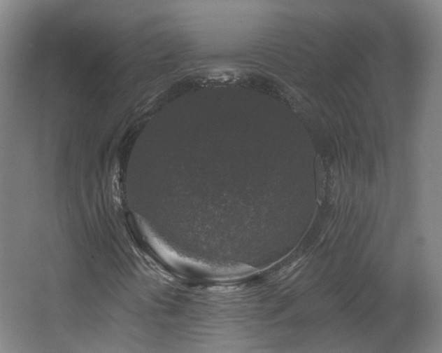 X0000062641394200512211151