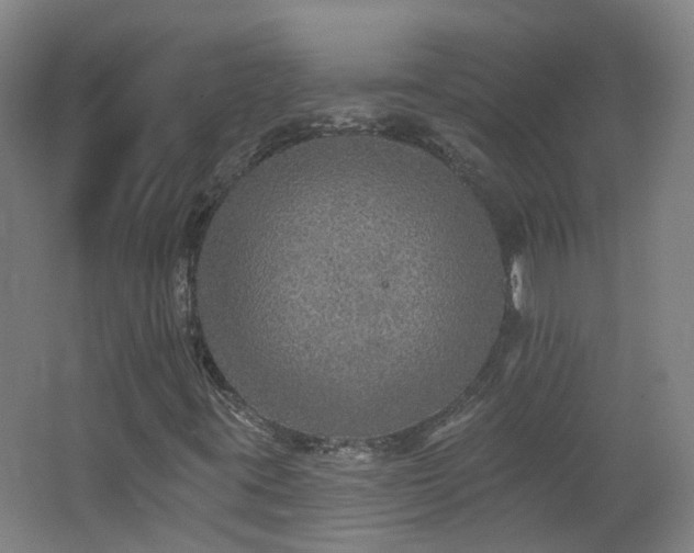 X0000062641395200512211151
