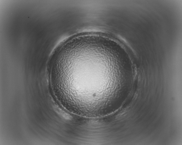 X0000062641408200512211152