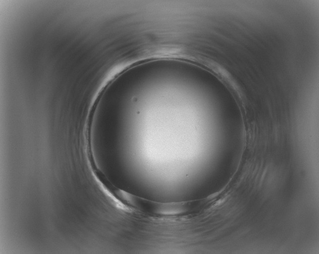 X0000062641432200512211152
