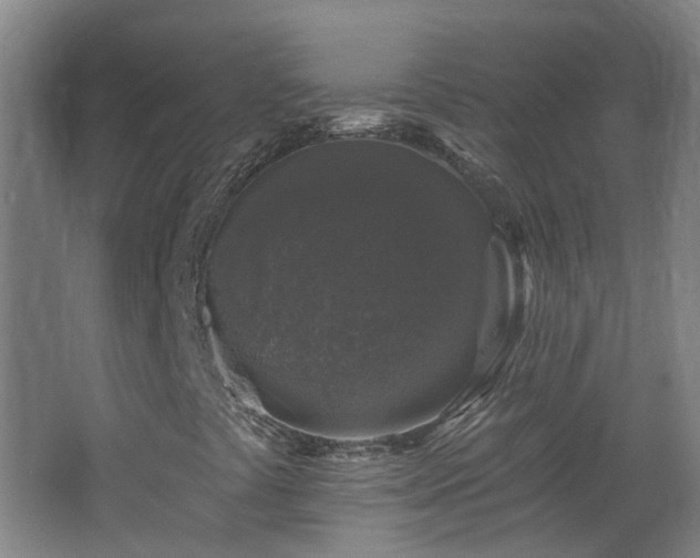 X0000062641441200512211151