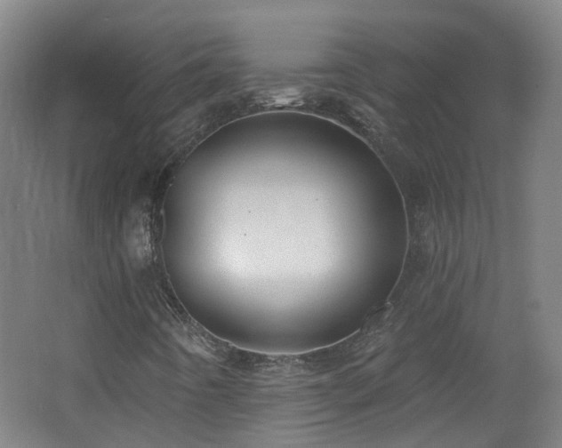 X0000062641442200512211151