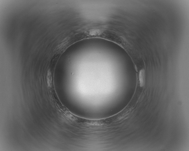 X0000062641443200512211151