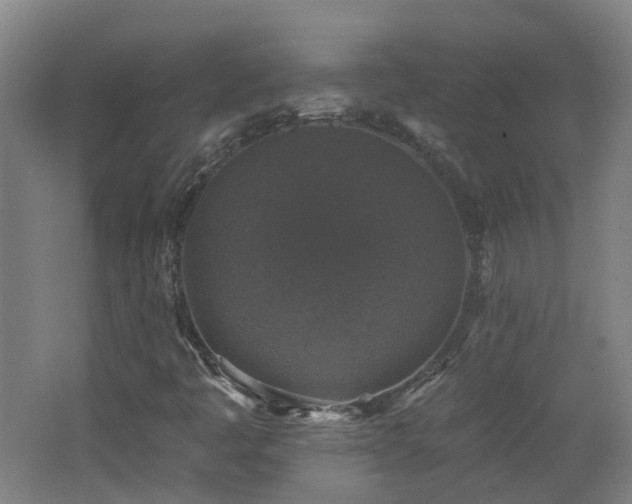 X0000062641445200512211151