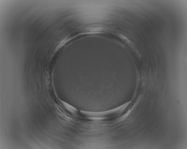 X0000062641449200512211151