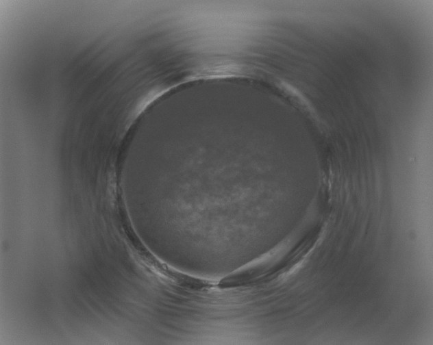 X0000062641457200512211151