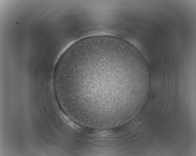 X0000062641460200512211151