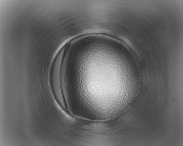 X0000062641468200512211151