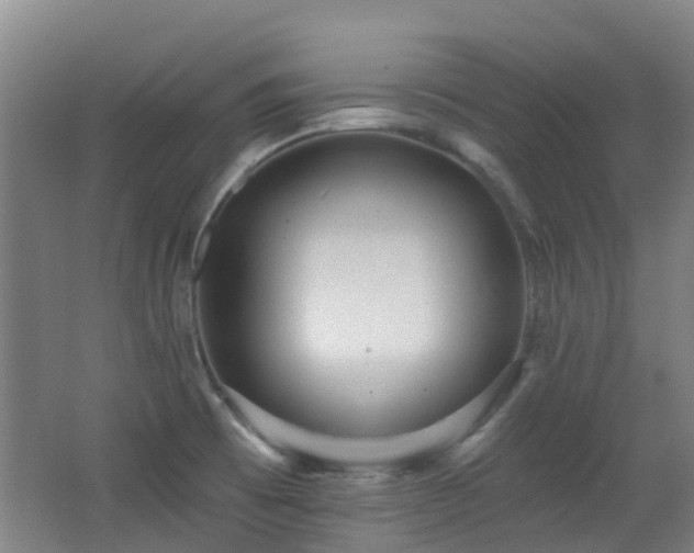 X0000062641473200512211151