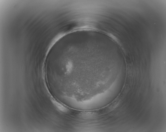 X0000062641474200512211151