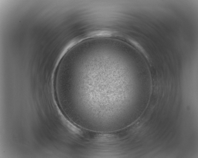 X0000062641475200512211151
