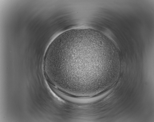 X0000062641484200512211151