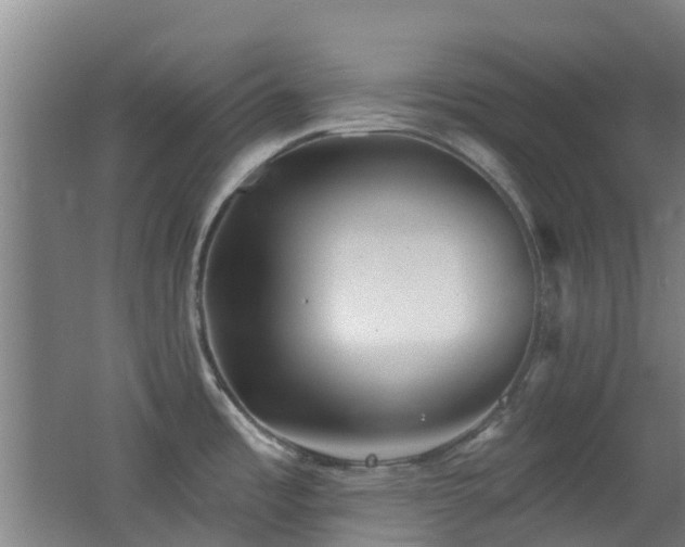 X0000062641485200512211151