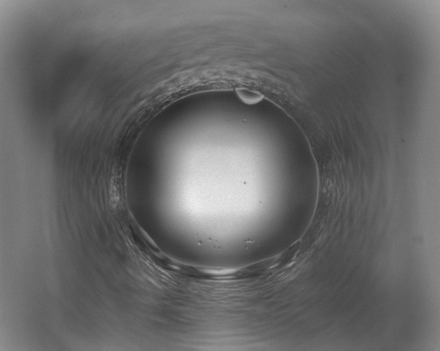 X0000062641490200512211150