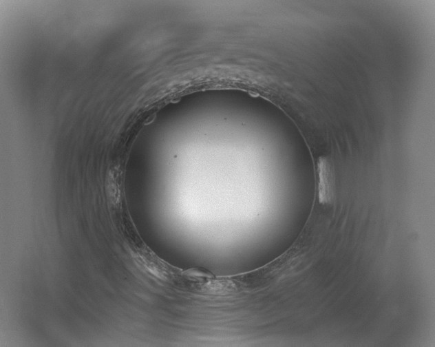 X0000062641491200512211150
