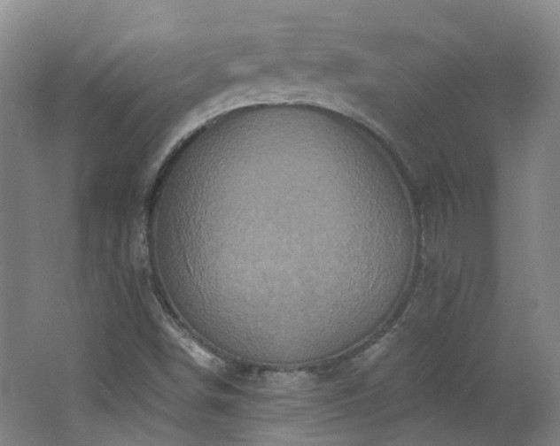 X0000062641498200512211150