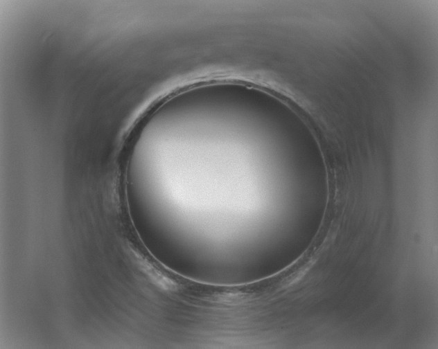 X0000062641502200512211150