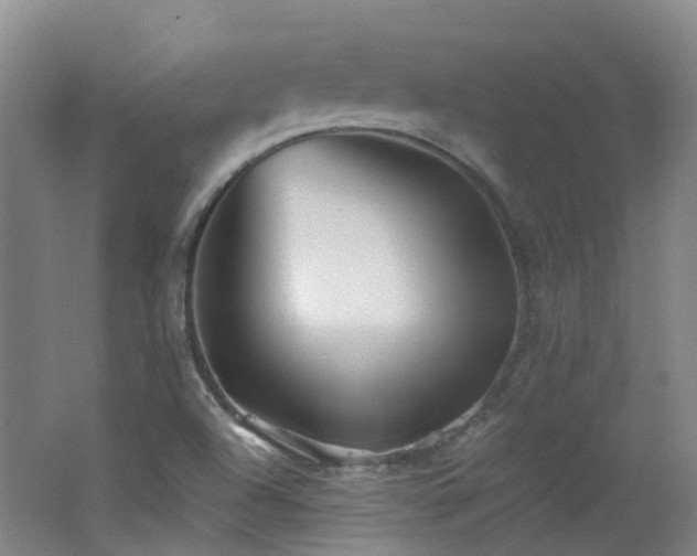 X0000062641504200512211150
