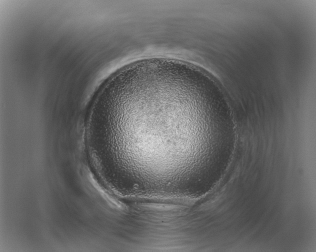 X0000062641507200512211150