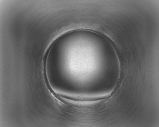 X0000062641508200512211150
