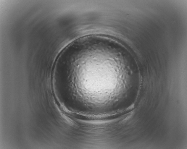 X0000062641513200512211150