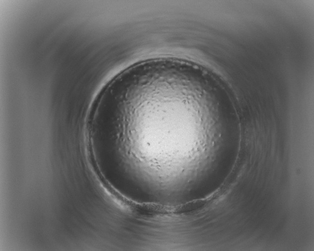 X0000062641517200512211150