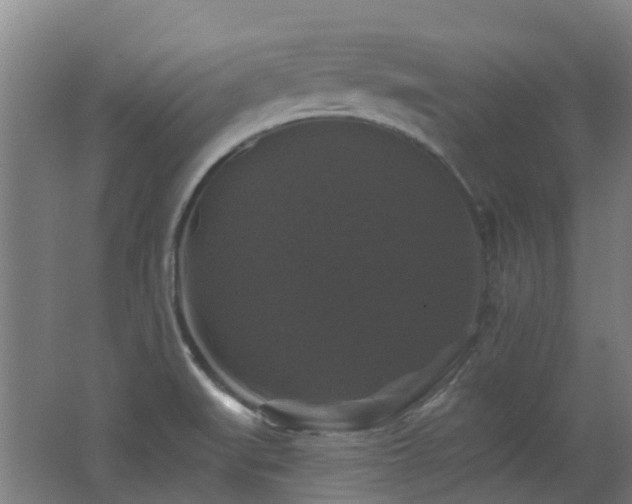 X0000062641519200512211150