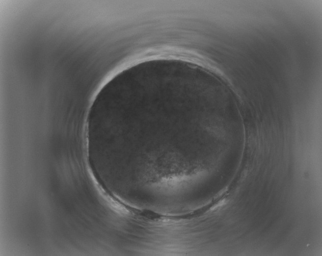 X0000062641522200512211150