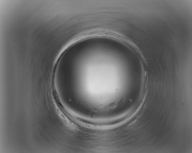 X0000062641530200512211150