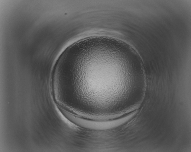 X0000062641531200512211150