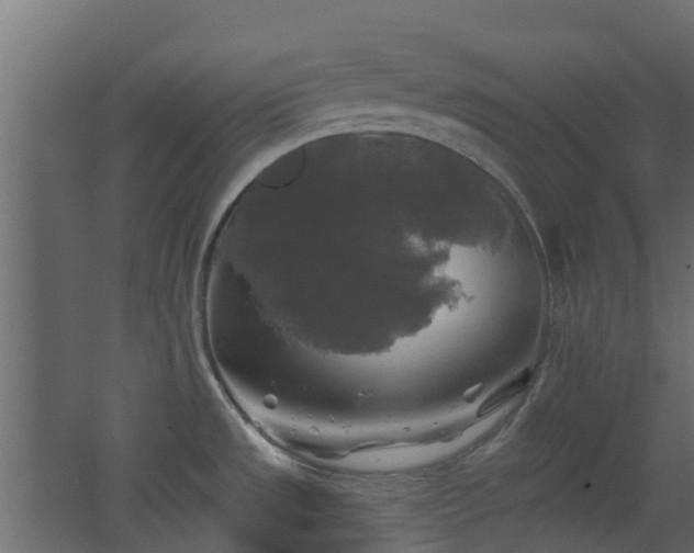 X0000062641533200512211150