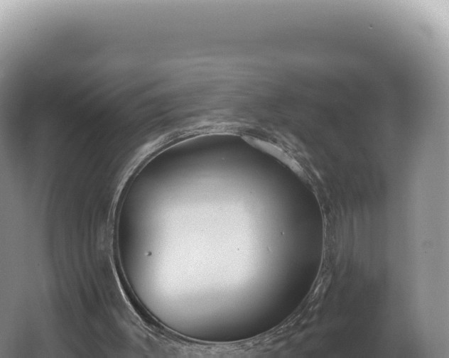 X0000062640003200512231053