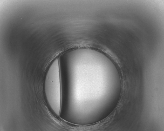 X0000062640009200512231053