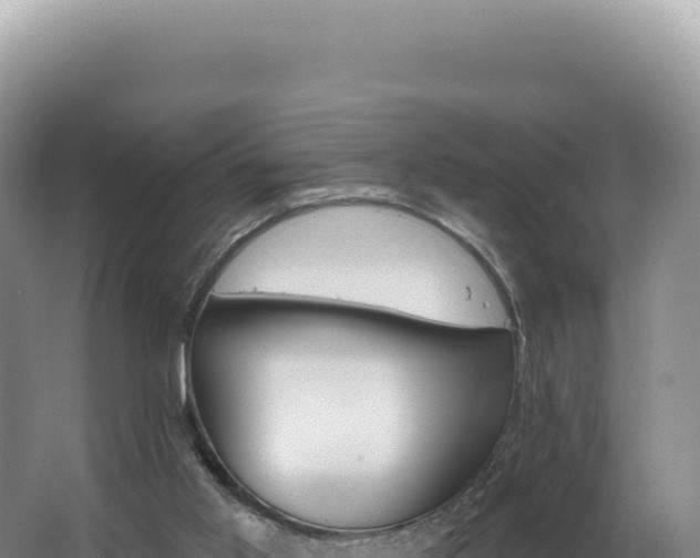 X0000062640013200512231053