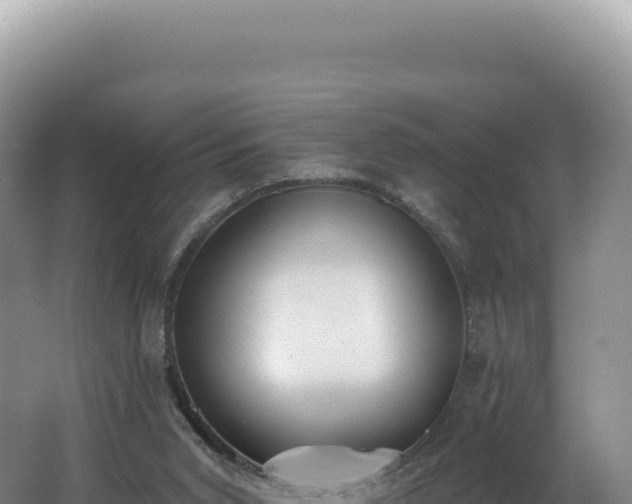 X0000062640015200512231053