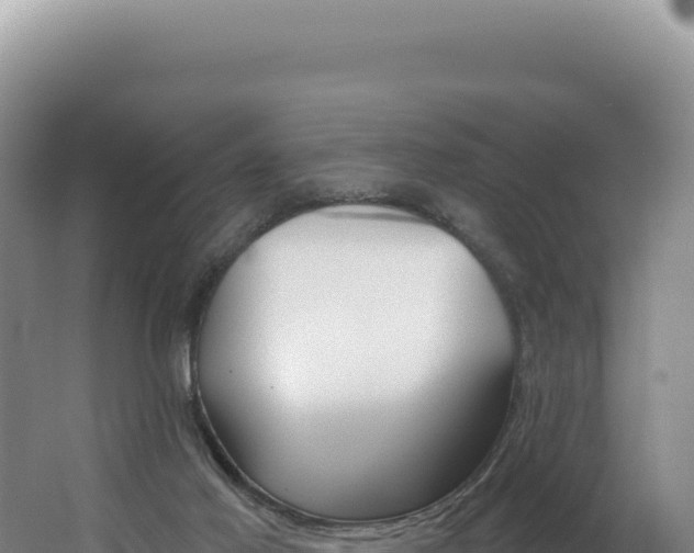 X0000062640021200512231053