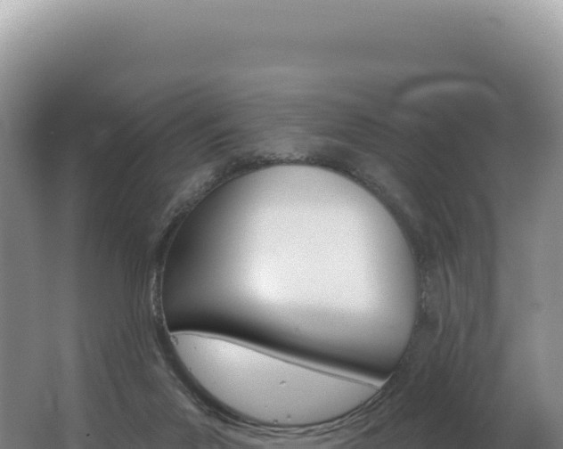 X0000062640023200512231053
