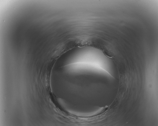 X0000062640039200512231052