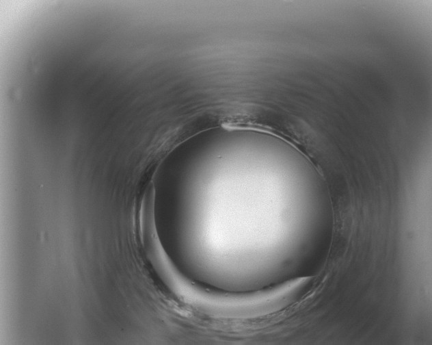 X0000062640041200512231052