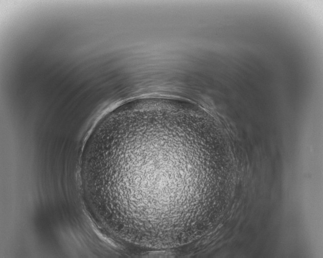 X0000062640050200512231051
