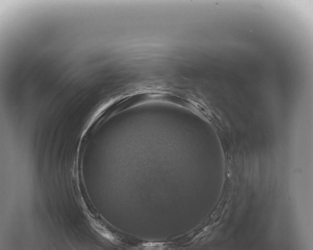 X0000062640052200512231051