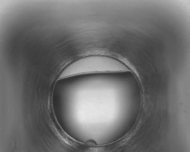 X0000062640057200512231052