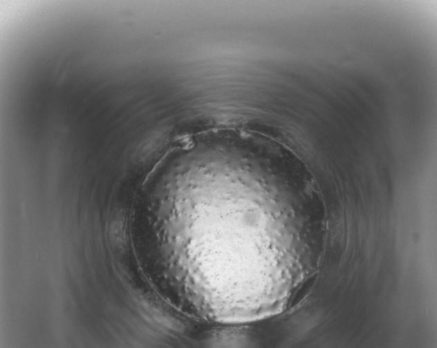 X0000062640078200512231052