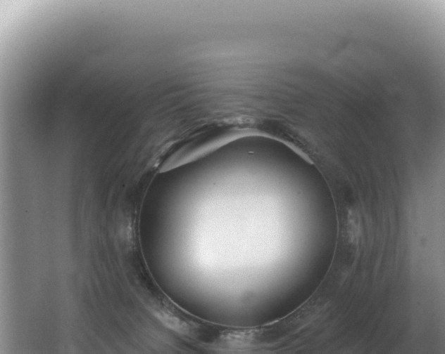 X0000062640084200512231052